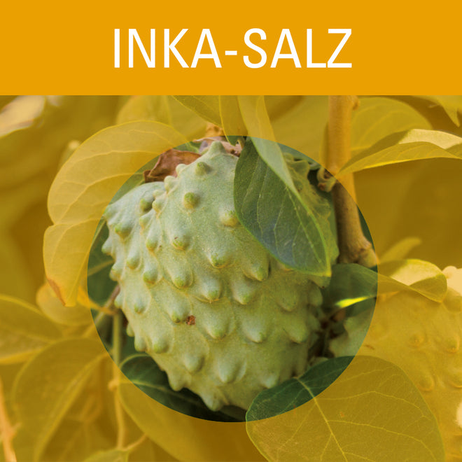 Ursalze - Inka-Salz